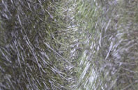 Hurworth On Tees fibreglass roof work